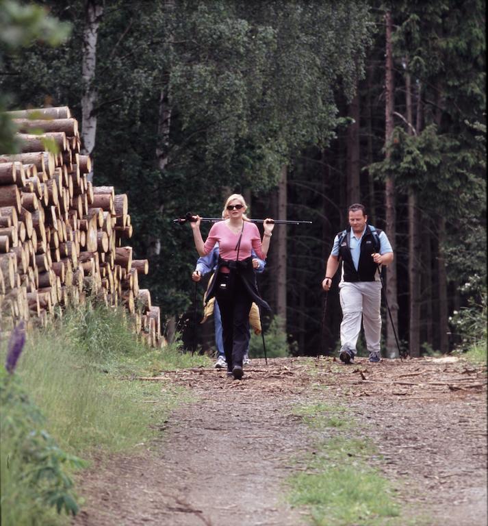 Haus Hinzberg Lägenhet Oberhof  Rum bild